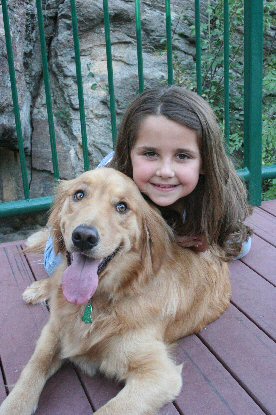inland empire golden retriever rescue inland empire golden retriever rescue adoption success stories inland empire golden retriever rescue inland empire golden retriever rescue adoption success stories