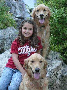 inland empire golden retriever rescue inland empire golden retriever rescue adoption success stories inland empire golden retriever rescue inland empire golden retriever rescue adoption success stories